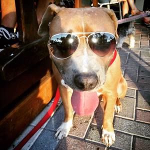 Meet your Posher, Timothy